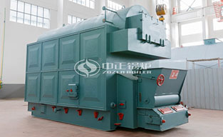 生物質鍋爐案例